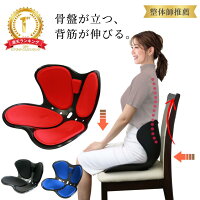 骨盤矯正 チェア 椅子 姿勢矯正 クッション 骨盤 ゆがみ グッズ 姿勢が良くなる 骨盤 立てる 底 筋 トレーニング グッズ デスクワーク 姿勢 グッズ 座椅子 スタイル style サポート シート 腰痛 猫背 オフィス デスクワーク 高品質 腰痛対策 運転 改善 解消