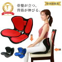 楽天1位 骨盤矯正 椅子 姿勢矯正 クッション グッズ 座椅子 オフィス スタイル style チェア 姿勢ケアシート 骨盤 ゆがみ 姿勢が良くなる 骨盤底筋 ...
