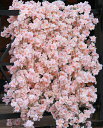 himsyuden桜の花ガーランド4本セット135頭花/本人工造花桜枯れない花桜まつりお花見人工藤クリスマス手作り花輪花園装飾撮影小道具結婚式プロポーズパーティ...