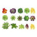 PATIKIL人工サボテンセット15個人工サボテン植物ガーデンホームデスク装飾アレンジDIYクラフトカラー