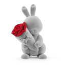 ROSEONLY プリザーブドフラワー ハニーラビットとデスティニーローズ 誕生日 記念日 母の日 バレンタインデー プロポーズ(グレー標準)