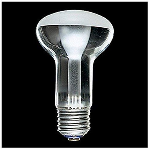  եײ(ʥͥ)60W RF110V57WM