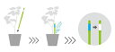 Sustee(サスティー)水やりチェッカーLサイズホワイト水分計観葉植物