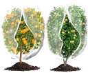 防虫ネット家庭菜園防鳥ネットPFIRHAS植物保護カバー2枚入りファスナー付き&巾着式プランター園芸ネット鳥よけネット虫鳥除け網花壇果樹野菜栽培適用防風防虫鳥対...