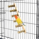 鳥 止まり木 スタンド 6連 階段 天然木 インコ 止まり木 爪研ぎ 鳥 おもちゃ アスレチック インコ とまり木 パーチ オカメインコ セキセイインコ 文鳥 ...