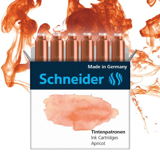 SCHNEIDERʥǯɮ󥯥ȥåѥƥ벤̵1Ȣ6ꥢץꥳåBS166116