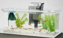 Tetraテトラメダカの繁殖を楽しむセットL水槽アクアリウム熱帯魚メダカ金魚透明