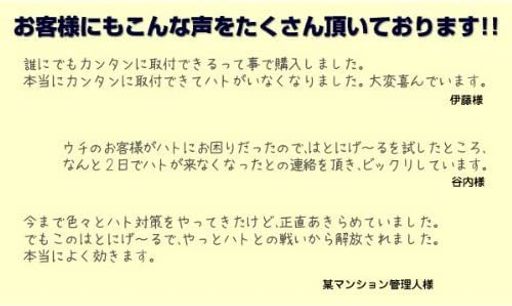 【2個セット】置くだけカンタン鳩対策 「はとにげ~る」