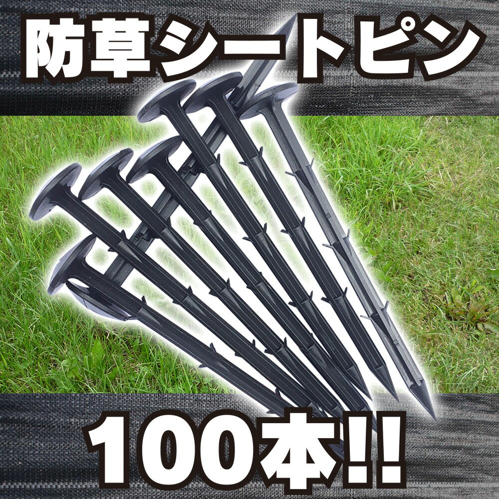 【あす楽】【送料無料】sac taske 防草シート 固定 ピン PP杭 100本 ＆ ハンマー 菜園 園芸 セット (黒 11) 固定ピン セット ブラック まとめ買い 押さえ 除草シート 防草 シート 防草ピン 防草フィルム ロング 雑草対策 雑草シート プラスチック ガーデニング 農業 家庭菜園