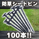 【あす楽】【送料無料】 防草シート 固定 ピン PP杭 100本 ＆ ハンマー 菜園 園芸 セット (黒 20) シート押さえピン ぼうそうシート 防そうシート ガーデニング 園芸 園芸用品 ガーデニング用品 家庭菜園 雑草防止シート 雑草対策