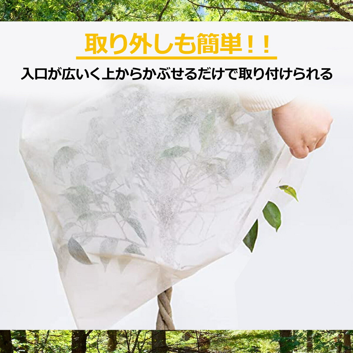 【あす楽】【送料無料】sac taske 植物...の紹介画像3