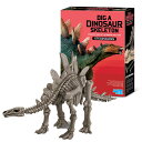 【スーパーSALE半額】恐竜大好き！気分は考古学者 発掘＆組立 ステゴサウルス/キッズラボ 4M 恐竜 模型 骨格 組立て 工作キット 知育玩具 子供 小学生 中学生 自由研究 科学玩具 プレゼント