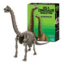 気分は考古学者 発掘＆組立 ブラキオサウルス /キッズラボ 4M 恐竜 模型 骨格 組立て 工作キット 知育教材 子供 小学生 中学生 自由研究 科学 プレゼント