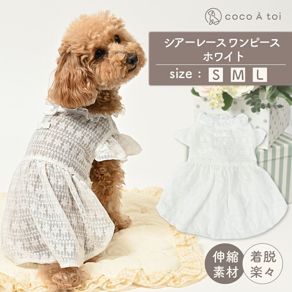 ＼マラソン中ポイント5倍／[ココア...