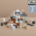 TRYCO トライコ ブロックセット50ピース TYTRY353001 積み木 つみきセット ベビー 2歳 おしゃれ 赤ちゃん かわいい 木のおもちゃ 知育玩具 プレゼント