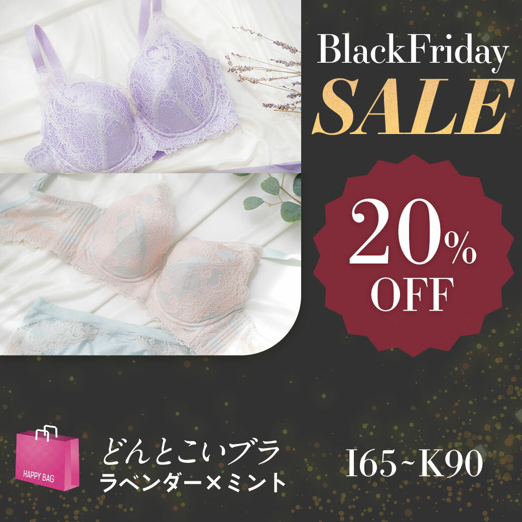 楽天HEAVEN Japan 楽天市場店＼限定20％OFF★BLACKFRIDAY SALE／どんとこいブラ 2本セット IJKカップ フルカップブラ 脇高 | ブラジャー ブラ 育乳 小さく見せる 大きい 下着 脇肉 谷間 補正下着 フルカップ スッキリ はみ肉 フルカップブラジャー 補正ブラジャー 補正 背肉 寄せる