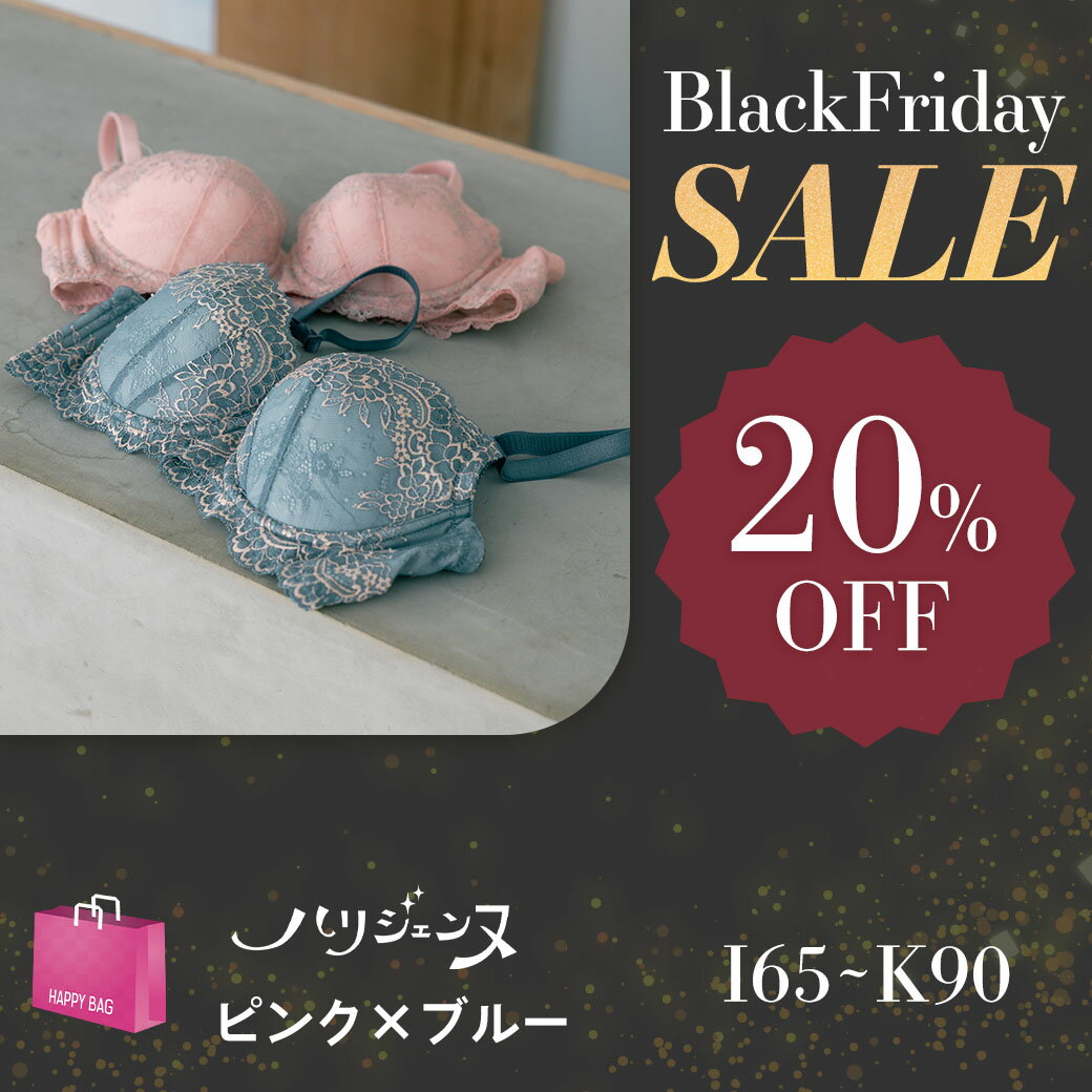 ＼限定20%OFF★BLACKFRIDAY SALE／ハリジェンヌ 2本セット | ブラジャー バストアップ 脇高 iカップ ブラ 背肉 育乳 垂れ バスト 盛れブラ 盛りブラ 補正ブラ 谷間 寄せ 脇肉 下着 大きい 補正 補正下着 補整下着 盛れる 補整 脇高ブラ 寄せブラ 背中 安定感 育乳ブラ