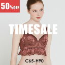 限定50%OFF★ビスチェリーナ CDEFGHカップ 限定デザイン | Cカップ Dカップ Eカップ 脇高 ブラジャー バストアップブラ 着やせ ブラ 脇高ブラ 寄せ 上げ セクシー レディース 谷間 補正ブラ 補正下着 脇肉 スッキリ かわいい 盛れる バストアップ フルカップ 育乳ブラ はみ肉