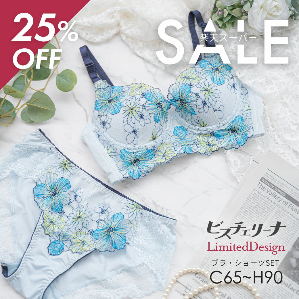 ＼25%OFF★楽天スーパーSALE／ビスチェリーナ ブラ・ショーツSET CDEFGHカップ | Cカップ Dカップ Eカップ 脇高 ブラジャー ブラ 下着 ショーツ 上下セット セット セットアップ 補正下着 谷間 パンティー 補整 上下 下着セット バストアップ 盛れるブラ 脇高ブラ クリスマス