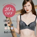 ★限定20%OFF★【返品交換0円】元祖脇肉キャッチャー ブラジャー 育乳ブラ 脇肉キャッチャー 大きいサイズ | ブラ 垂れ 脇高 背中 レース 下着 寄せ 大きい 補正ブラ 補整 補正ブラジャー 補正下着 脇肉 大きめ 谷間 スッキリ はみ肉 補整下着 盛れる 寄せる レディース下着