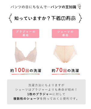 ショーツ 5枚 セット 福袋|補正下着 下着 大きいサイズ ショーツ レディース お腹 引き締め 深ばきショーツ レース 総レース パンツ かわいい パンティ 補正ショーツ 女性 レースショーツ 可愛い まとめ買い パンツセット アソート シンプル 女性用ショーツ