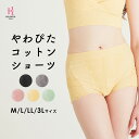 やわぴた コットン ショーツ 綿 | 下着 深ばきショーツ パンツ 股上深め ハイウエスト ナイトショーツ 3l ハイウェスト 深め ハイウエストショーツ 美尻 パンティー スタンダードショーツ セクシーショーツ 婦人ショーツ 美尻パンツ 婦人下着 かわいい セクシー 女性 尻 お尻