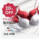 【アウトレット20%OFF】 SALE 贅沢脇肉キャッチャー ブラジャー単品 FGHカップ|育乳ブラ 脇肉キャッチャー ブラジャ…