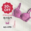 【アウトレット50%OFF】 SALE 贅沢脇肉キャッチャー ブラジャー IJK | 育乳ブラ 脇肉キャッチャー 下着 バストアップ 脇肉 ブラ 脇高 小さいサイズ Fカップ 育乳 脇高ブラ バストアップブラ 盛りブラ 矯正 女性 盛れブラ 補正ブラ 補正ブラジャー 補正下着 スッキリ