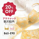 【アウトレット20%OFF】贅沢脇肉キャッチャー ブラジャー 単品 BCDE | 育乳ブラ 脇肉キャッチャー ブラジャー 補正下着 下着 バストアップ いくにゅ...