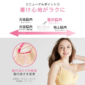 ブラ&ショーツ2色SET【正規品】贅沢脇肉キャッチャーHappyBag流れる脇肉をバストへ|育乳ブラブラジャーショーツセットショーツセットバストアップバストアップブラレディース補正下着脇肉スッキリいくにゅうぶら下着寄せ上げ胸垂れない下垂
