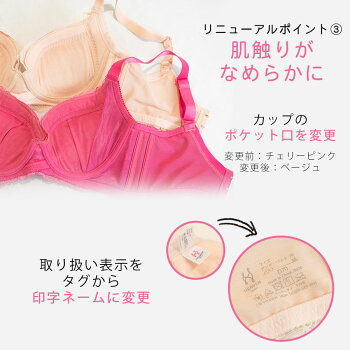 ブラ&ショーツ2色SET【正規品】贅沢脇肉キャッチャーHappyBag流れる脇肉をバストへ|育乳ブラブラジャーショーツセットショーツセットバストアップバストアップブラレディース補正下着脇肉スッキリいくにゅうぶら下着寄せ上げ胸垂れない下垂