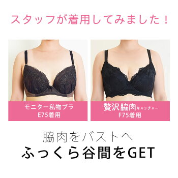 ブラ&ショーツ2色SET【正規品】贅沢脇肉キャッチャーHappyBag流れる脇肉をバストへ|育乳ブラブラジャーショーツセットショーツセットバストアップバストアップブラレディース補正下着脇肉スッキリいくにゅうぶら下着寄せ上げ胸垂れない下垂