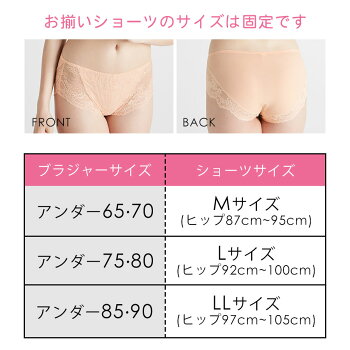 楽天市場 送料無料 ブラ ショーツ2色set 正規品 贅沢脇肉キャッチャー Happybag 育乳ブラ 脇肉キャッチャー ブラジャー 大きいサイズ 補正下着 ショーツ バストアップブラ 脇肉 セット レディース いくにゅうぶら はみ肉 脇高 背中 すっきり バストアップ G65 F65 楽天市場 送料無料 ブラ ショーツ2色set 正規品 贅沢脇肉キャッチャー Happybag 育乳ブラ 脇肉キャッチャー ブラジャー 大きいサイズ 補正下着 ショーツ バストアップブラ 脇肉 セット レディース いくにゅうぶら はみ肉 脇高 背中 すっきり バストアップ G65 F65
