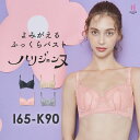 【返品交換0円】ハリジェンヌ | 育乳ブラ ブラジャー 大きいサイズ 補正下着 バストアップ 脇高 iカップ 脇高ブラ ブラ 下着 背肉 育乳 大きい胸 垂れ バスト 育乳ブラジャー 盛れブラ 盛りブラ 補正ブラ 補整 レディース 谷間 寄せ 盛れるブラ 補正ブラジャー 補整下着 脇肉