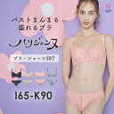 【返品交換0円】ハリジェンヌ ブラジャー ショーツ セット | 育乳ブラブラ 脇肉 脇高 下着 脇高ブラ 補正ブラ 育乳 ブラショーツ パンツ ブラショーツセット 上下セット ブラセット 盛れる 大きい 脇肉ブラ ブラパンツ ブラパン 女性 盛れブラ 補正下着 かわいい スッキリ