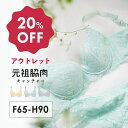 【アウトレット20%OFF】 元祖脇肉キャッチャー 背中すっきり | 育乳ブラ ブラジャー バストアップ ブラ 育乳 脇肉 下着 胸 垂れ 寄せ 大きいサイズ 脇高 補正ブラ 脇高ブラ 脇肉キャッチャー 補正ブラジャー 矯正 寄せブラ 矯正ブラ 脇肉ブラ 補整ブラ 矯正下着 育ブラ