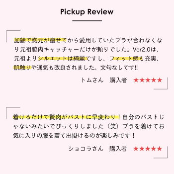 【返品交換0円】元祖脇肉キャッチャーVer2.0背中すっきり|育乳ブラ育乳ブラジャーバストアップバストアップブラ補正下着脇肉いくにゅうぶらブラ肉胸垂れ背中大きいサイズスッキリ補正ブラはみ肉産後脇高谷間下垂脇高ブラハミ肉補正ブラジャー