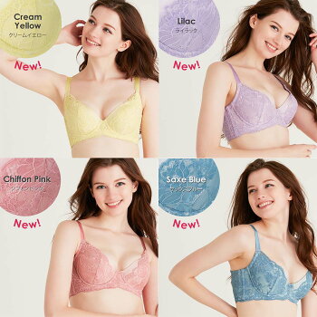 【返品交換0円】元祖脇肉キャッチャーVer2.0|育乳ブラ育乳ブラジャーバストアップバストアップブラ補正下着脇肉いくにゅうぶらブラ肉胸垂れ背中すっきり大きいサイズスッキリ補正ブラはみ肉脇高谷間下垂脇高ブラハミ肉脇高ブラジャー