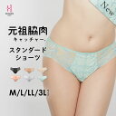 元祖脇肉キャッチャー お揃い ショーツ スタンダードショーツ ピンク M L LLサイズ パンツ レース パンティ 3l 下着 レースショーツ 可愛いショーツ レースパンティ ランジェリー 大きいサイズ 黒 女性 単品 女性ショーツ レースパンツ レディース下着 かわいい 婦人