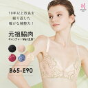 【300円OFFクーポン】【返品交換0円】元祖脇肉キャッチャーVer2.0 ブラジャー 育乳ブラ 脇肉キャッチャー 大きいサイズ | 補正下着 バストアップ ブラ 脇肉 垂れ 脇高 背肉 背中 谷間 レディース レース 脇高ブラ 育乳 脇 可愛い 下着 e65 e70 盛れる バスト 寄せる 単品