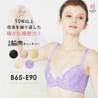 【返品交換0円】元祖脇肉キャッチャーVer2.0 ブラジャー 育乳ブラ 脇肉キャッチャー 大きいサイズ| 補正下着 バストアップブラ バストアップ ブラ 脇肉 垂れ 脇高 背肉 背中 レディース レース 脇高ブラ 可愛い下着 盛れる 補正ブラ 下着 育乳 はみ肉 寄せ 大きい胸 グラマー