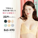 ＼MAX20%OFFクーポン配布中／【返品交換0円】元祖脇肉キャッチャー ブラジャー 育乳ブラ 脇肉キャッチャー 大きいサイズ 母の日 | 補正下着 バストアップ ブラ 脇肉 脇高 背肉 背中 レース