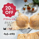 【アウトレット20%OFF】フルカップ どんとこいブラ Hカップ Fカップ Gカップ フルカップブラ 脇高 揺れない スッキリはみ肉 脇肉 | 育乳ブラ ブラジ...