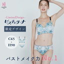 5/7(水)発売開始★【返品交換0円】ビスチェリーナ ブラ・ショーツSET CDEFGHカップ 2025スプリング限定デザイン | Cカップ Dカップ Eカップ...