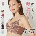 【返品交換0円】ビスチェリーナ | すっきり 脇高 揺れない 脇肉 育乳ブラ ブラジャー 補正下着 バストアップブラ 背肉 小さい 脇高ブラ ブラ 下着 小胸 寄せ 上げ ランジェリー 可愛い
