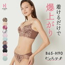 【返品交換0円】ビスチェリーナ ブラ&ショーツSET | 脇高 ブラジャー ブラ ショーツ 補正ブラ ブラショーツ セット 上下セット ブラショーツセット 下着 ブラセット 補正下着 脇肉 育乳ブラ セットアップ レディース ブラジャーショーツ 谷間 パンティー レディース下着
