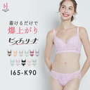 【返品交換0円】ビスチェリーナ ブラジャー ショーツ | 脇高 脇肉 育乳ブラ 脇高ブラ 下着 ブラ 育乳 ブラショーツ 大きいサイズ レース レースブラ ブラ...