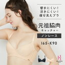 ＼5/8(水)発売予定／【返品交換0円】元祖脇肉キャッチャー ノンレース 背中すっきり | 育乳ブラ ブラジャー 補正下着…