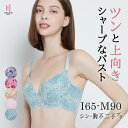 【返品交換0円】シン・胸不二子ブラ | ブラジャー 補正下着 バストアップ 脇肉 脇高 脇高ブラ ブラ 育乳 大きいサイズ 補正ブラ 垂れ バスト レース レースブラ 上げ 盛れる 盛りブラ スッキリ 寄せ おしゃれ 大きい 大きめ はみ肉 グラマー 補整下着 谷間 寄せる 矯正ブラ