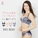 シン・胸不二子ブラ | 育乳ブラ ブラジャー 補正下着 ショーツ バストアップ 脇肉 脇高 下着 脇高ブラ ランジェリー ブラ 盛れるブラ 補正 バスト パンツ 盛りブラ 育乳 女性ショーツ 補整 お尻 綺麗 補正ブラ 女性下着 パンティ